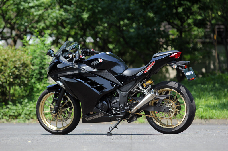 2013〜Ninja250 PURESPORT TwoTail