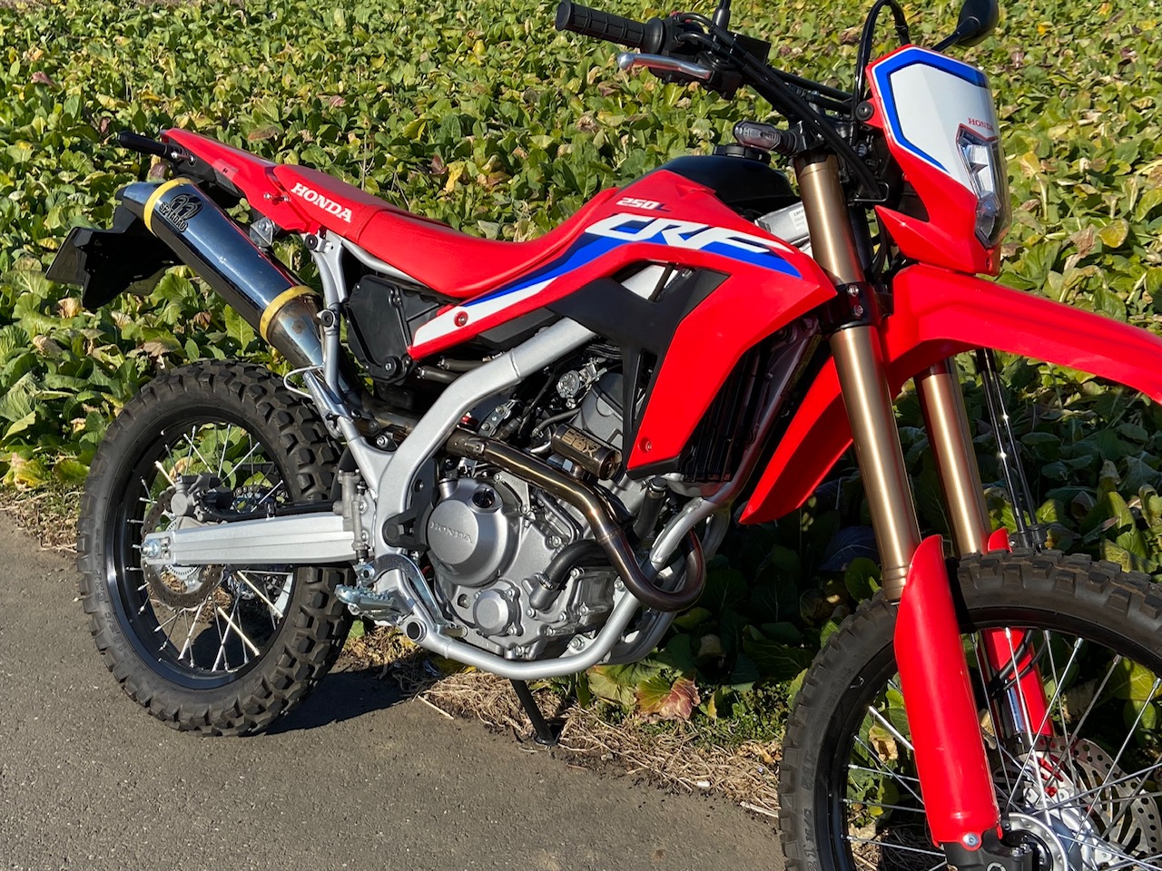 sp忠男Powerbox CRF250L MD47用