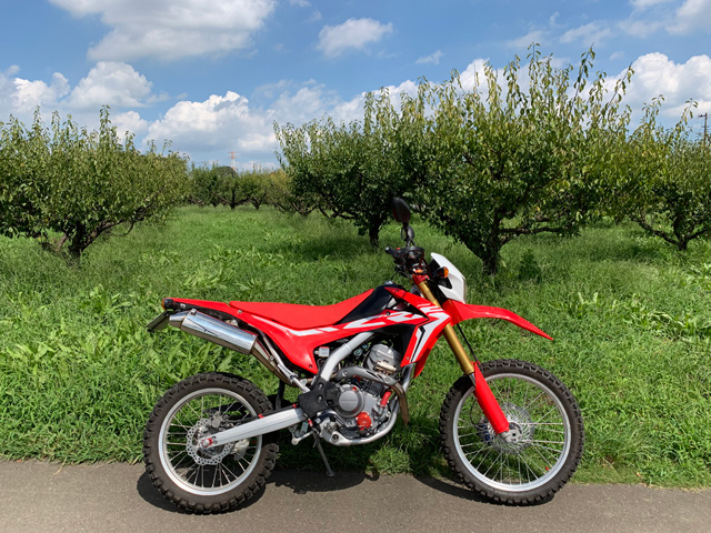 crf250l_pb0702.jpg title=