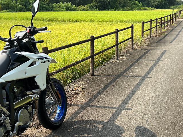 border= drz4sm_pbpipe_0101.jpg
