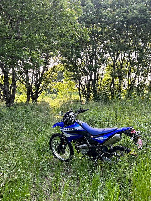 wr125r_desertbox_0600.jpg title=