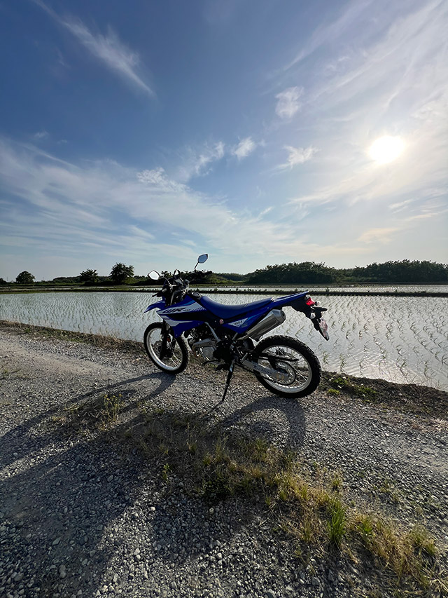 wr125r_desertbox_0602.jpg title=