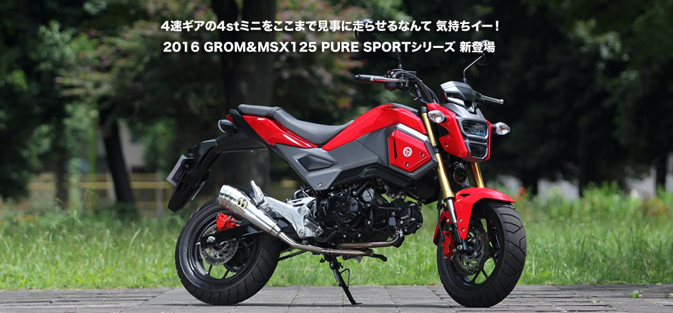 4速ギアの4stミニをここまで見事に走らせるなんて　気持ちイー！2016 GROM＆MSX125
                  PURE SPORTシリーズ　新登場