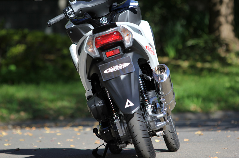 13～ Ninja250 (JBK-EX250L)｜PURE SPORT TYPE TWO TAIL HP