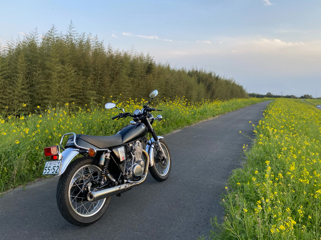 2018- SR400｜POWERBOX サイレンサー (適合型式：2BL-RH16J